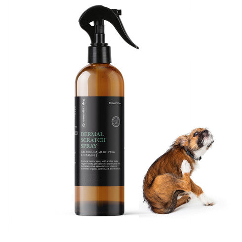 Natural Anti Itch Scratch Spray For Dogs (Aloe, Tea Tree And Vitamin E) Flea Tick Remedies