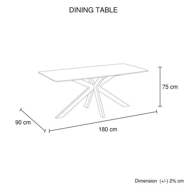 Dining Table Rectangular Shape Grey Sintered Stone Top Powder Coated Iron Legs Dining Tables