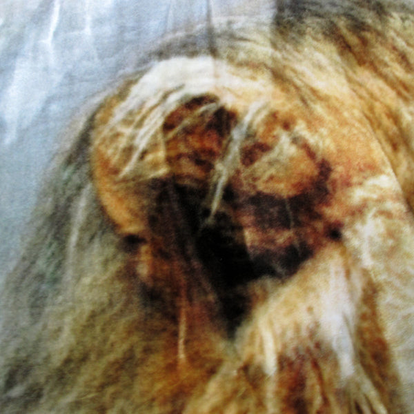 800Gsm Luxury Reversible Animal Pattern Mink Blanket Queen 200 X 240 Cm Lion Tiger Brown Blankets