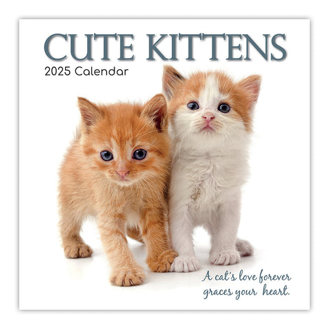 Cute Kittens 2025 Square Wall Calendar Pets Animals 16 Months Premium Planner Calendars (Current)