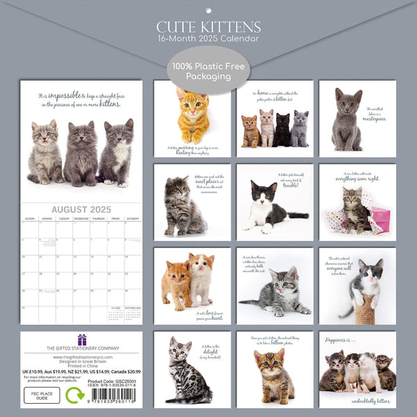 Cute Kittens 2025 Square Wall Calendar Pets Animals 16 Months Premium Planner Calendars (Current)