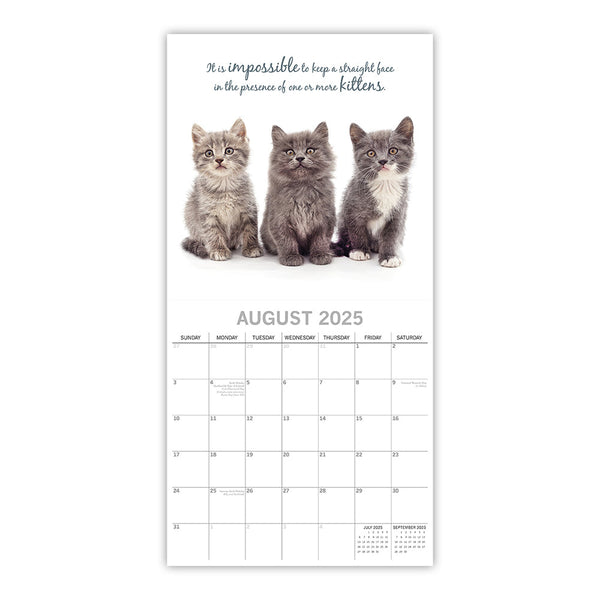 Cute Kittens 2025 Square Wall Calendar Pets Animals 16 Months Premium Planner Calendars (Current)