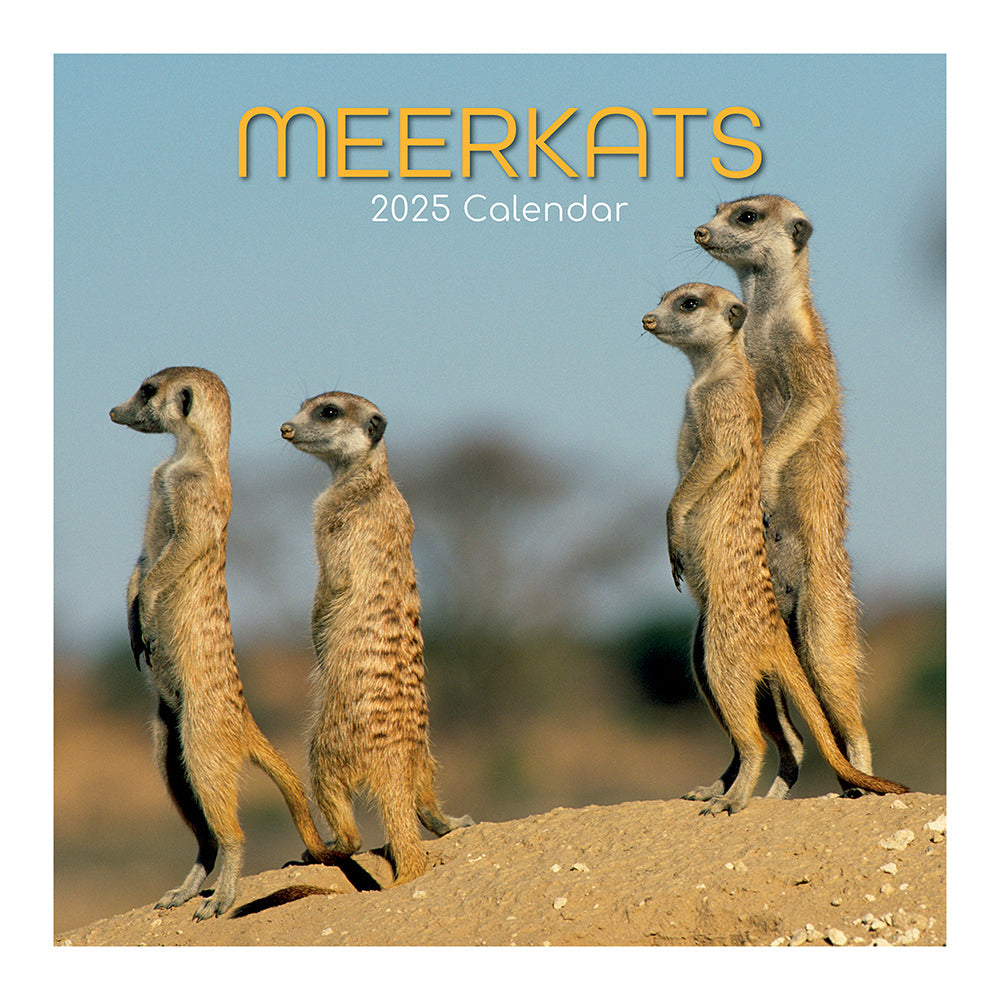 Meerkats 2025 Square Wall Calendar Pets Animals 16 Months Premium Planner Gift Calendars (Current)