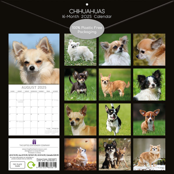 Chihuahuas 2025 Square Wall Calendar Dogs Pets Animals 16 Months Premium Planner Calendars (Current)