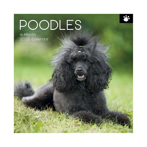 Poodles 2025 Square Wall Calendar Dogs Pets Animals 16 Months Premium Planner Calendars (Current)