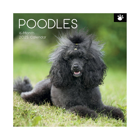 Poodles 2025 Square Wall Calendar Dogs Pets Animals 16 Months Premium Planner Calendars (Current)