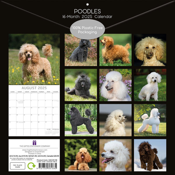 Poodles 2025 Square Wall Calendar Dogs Pets Animals 16 Months Premium Planner Calendars (Current)