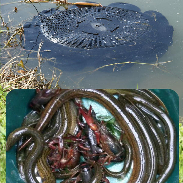 10 Hole Eel Fishing Trap Cage Loach Shrimp Net Folding Portable Catch Basket Nets
