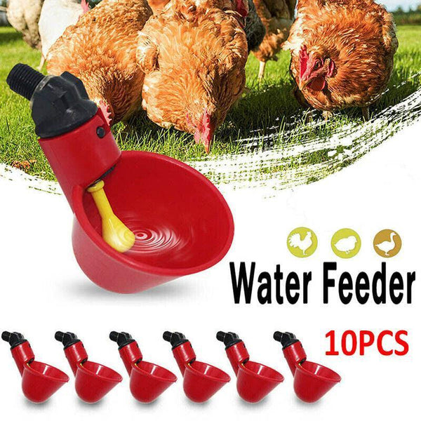 10 Pcs Automatic Poultry Waterer Cups For Chickens & Birds Pet Chicken Supplies