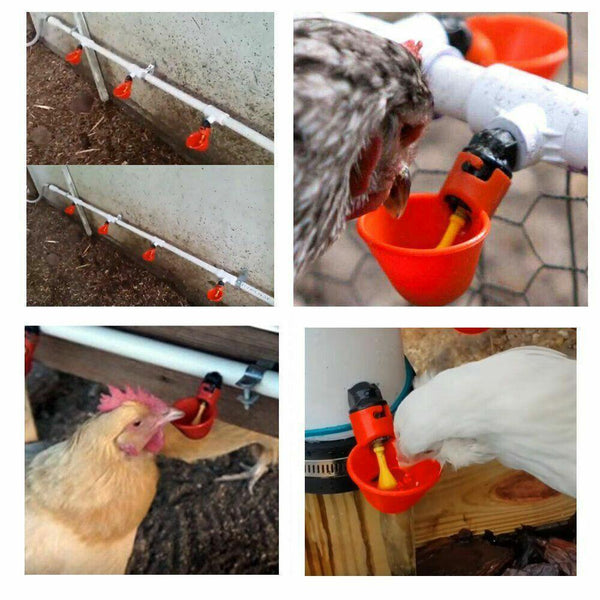 10 Pcs Automatic Poultry Waterer Cups For Chickens & Birds Pet Chicken Supplies
