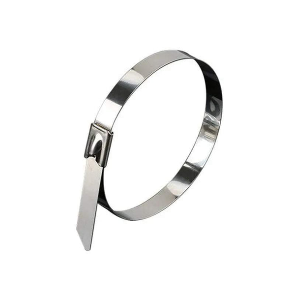 100X Stainless Steel Cable Ties Ss304 Marine Grade Zip Strap Locking Wrap 4.6X100mm Cable Ties & Organisers