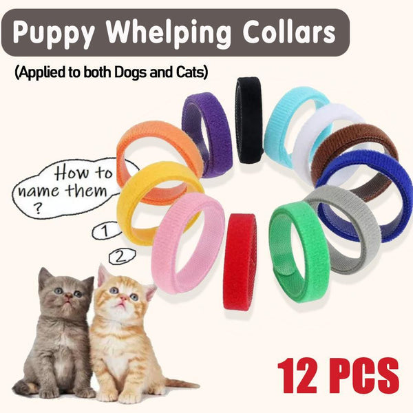 12 Colour Soft Id Collars For Puppies And Kittens Adjustable Pet Identifier Bands Dog Collars