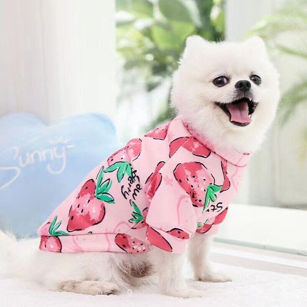 Small Size Cute Pet Dog Warm Jumper Sweater Clothes Cat Knitwear Knitted Coats Winter Purple Camouflage Dog Clothing & Shoes