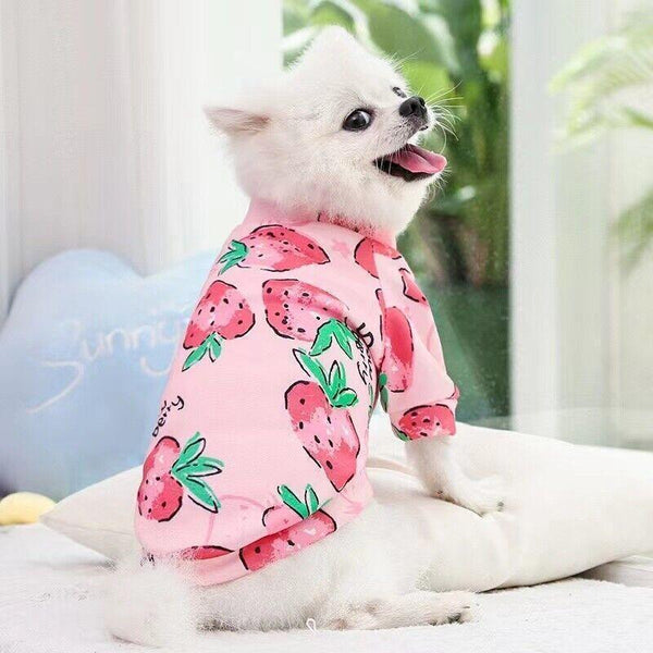 M Size Cute Pet Dog Warm Jumper Sweater Clothes Cat Knitwear Knitted Coats Winter Green Lion Dog Clothing & Shoes
