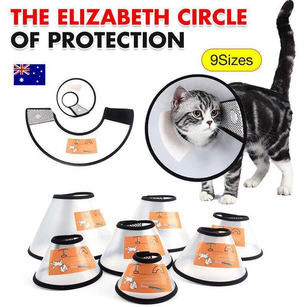 Pet Cat Dog Protective Cone Collar Elizabethan Wound Healing Recovery 4 Dog Collars