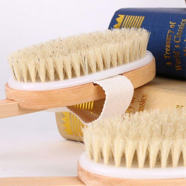 Long Handle Back Brush With Natural Bristles For Shower And Bath Bath Brushes & Sponges