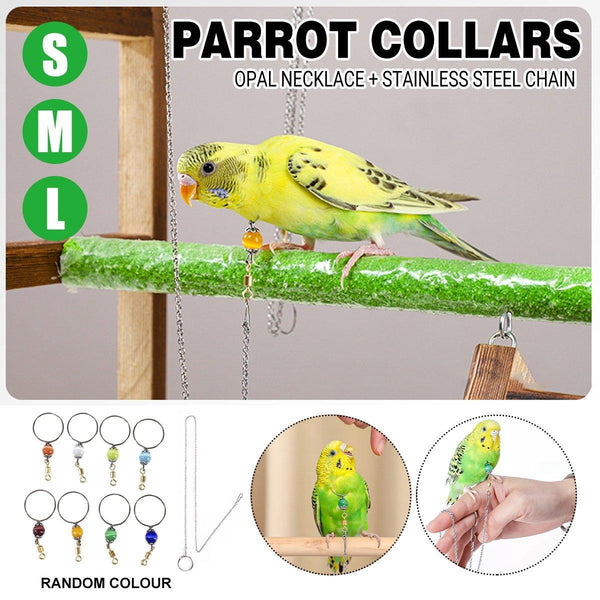 Parrot Neck Collar Stainless Steel Bird Chain Training Adjustable Leash Diameter 2.2Cm Small Animal Supplies