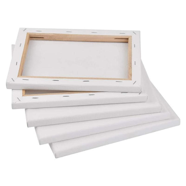 5X Artist Blank Canvases Large White Range Oil Acrylic Wood 20*30Cm Stretched Canvas