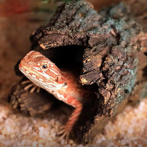 Tree Log Hide Ornament Trunk Tunnel Fish Reptile Tank Resin Aquarium Decoration Large Aquariums