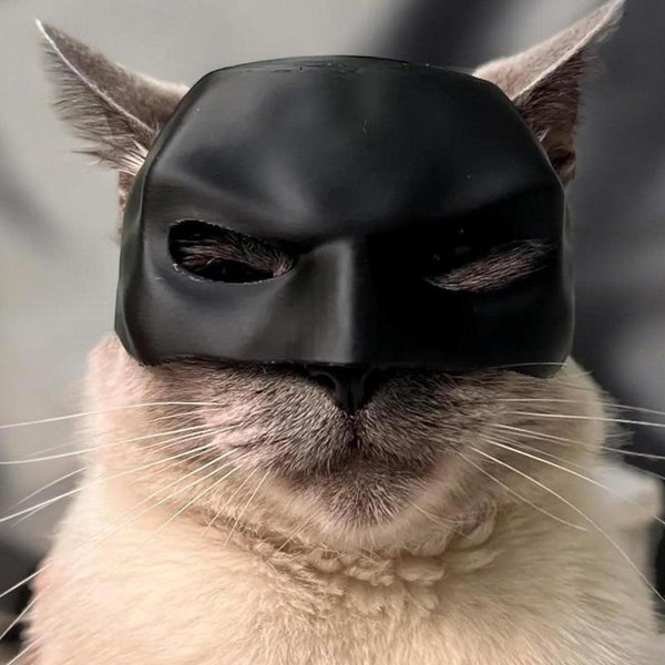 Halloween Bat Mask Cat Pet Costume Accessories For Small Dogs Cats Outfit Xs Dog Clothing & Shoes