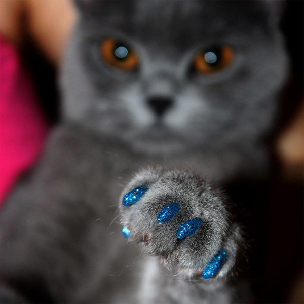 100Pcs Anti Scratch Paw Covers For Cats And Kittens Nail Protector Soft Flat L Dog Clothing & Shoes