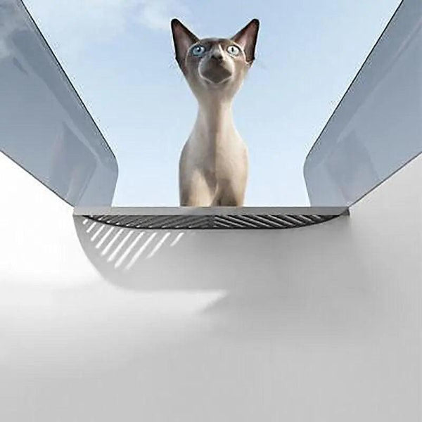 Litter Tray Box With Splash Guard And Wide Opening For Cats Top Design Grey Cat Litter