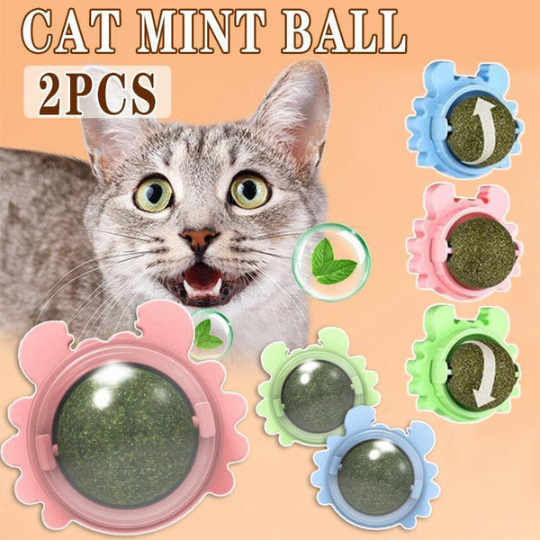 2Pcs Rotatable Catnip Mint Ball Treat Toys Licking Snack Molar Blue Cat Toys