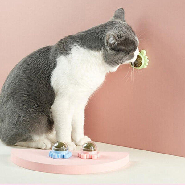 2Pcs Rotatable Catnip Mint Ball Treat Toys Licking Snack Molar Blue Cat Toys