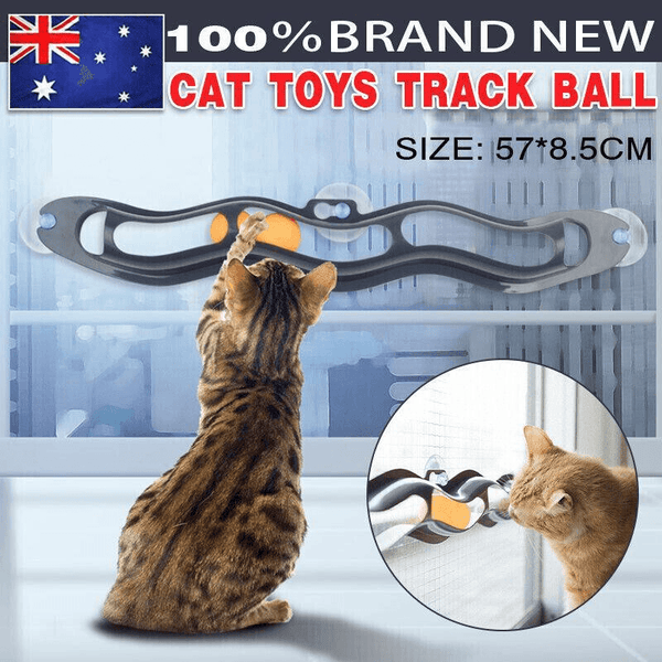 Interactive Cat Track Ball Toy With Window Suction Cup For Indoor Play And Exercise Cat Toys