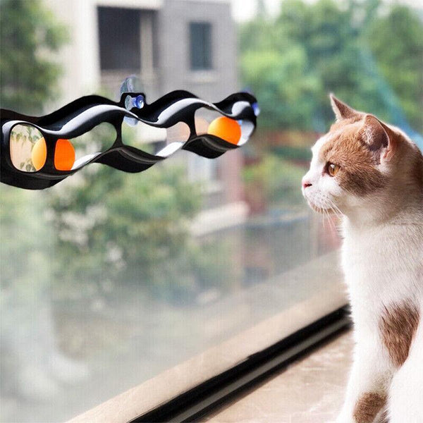 Interactive Cat Track Ball Toy With Window Suction Cup For Indoor Play And Exercise Cat Toys