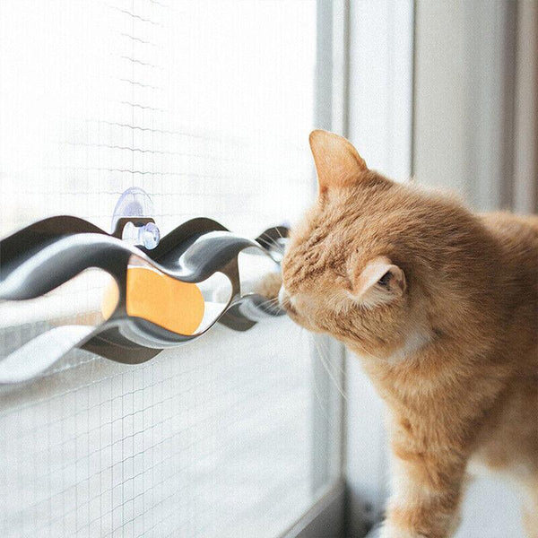 Interactive Cat Track Ball Toy With Window Suction Cup For Indoor Play And Exercise Cat Toys