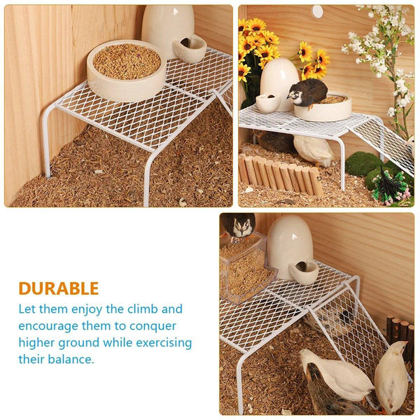 Metal Iron Chicken Feeding Ladder Grid Shelving Landscaping Platform Supplies White L Small Animal Supplies