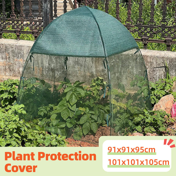 Plant And Vegetable Protective Cover Insect Proof Mesh Garden Netting 91X91x95cm Greenhouses