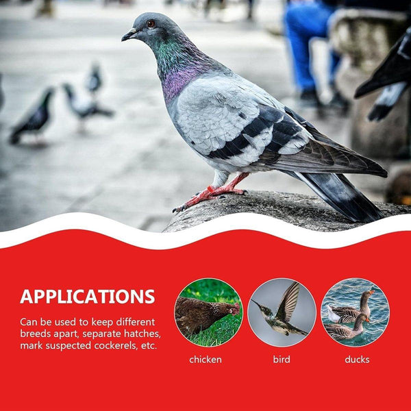 100X 001 100 Digital Numbered Bird Leg Band Rings Clip For Pigeon Parrot Poultry Black Small Animal Supplies