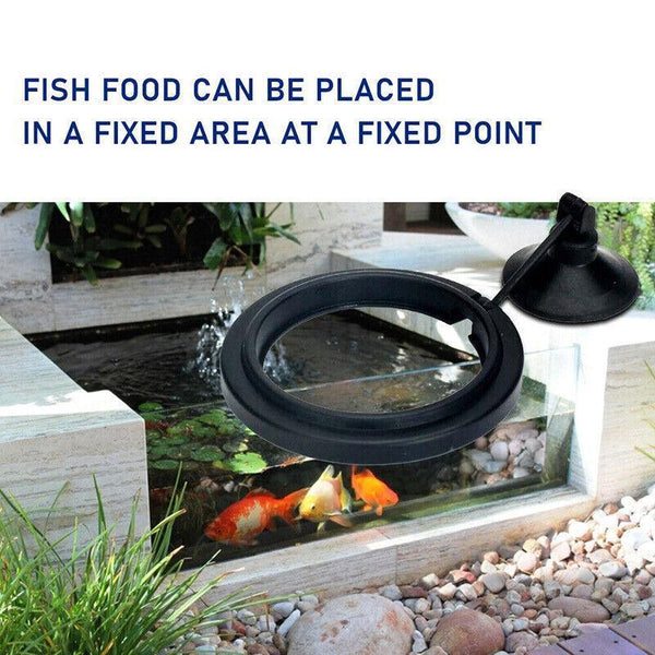 Fish Feeding Ring Aquarium Tank Feeder Floating Food Black Square Aquariums