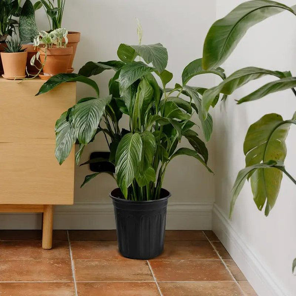 100Pcs Black Gallon Soft Plastic Planter Bag Garden Nursery Pot Balcony Grow Planters & Vases