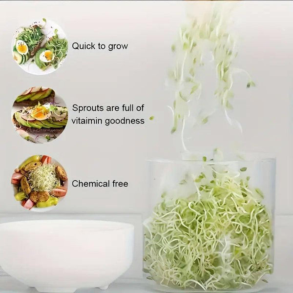 Bean Sprout Growing Machine Automatic Sprouting Pot Plant Germination Tool Other Plant Care & Accessories