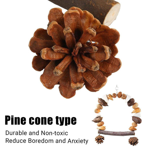 Parrot Chew Toy For Training Climbing Grinding Teeth Relief Durable Bird Pine Cones Birds Toys