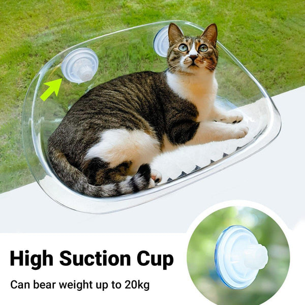 Cat Hammock Bed Glass Hanging Basket Clear Pet Nest Elevated Sleeping White Pet Beds