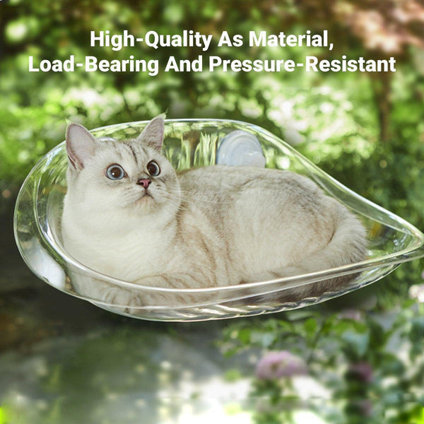 Cat Hammock Bed Glass Hanging Basket Clear Pet Nest Elevated Sleeping White Pet Beds