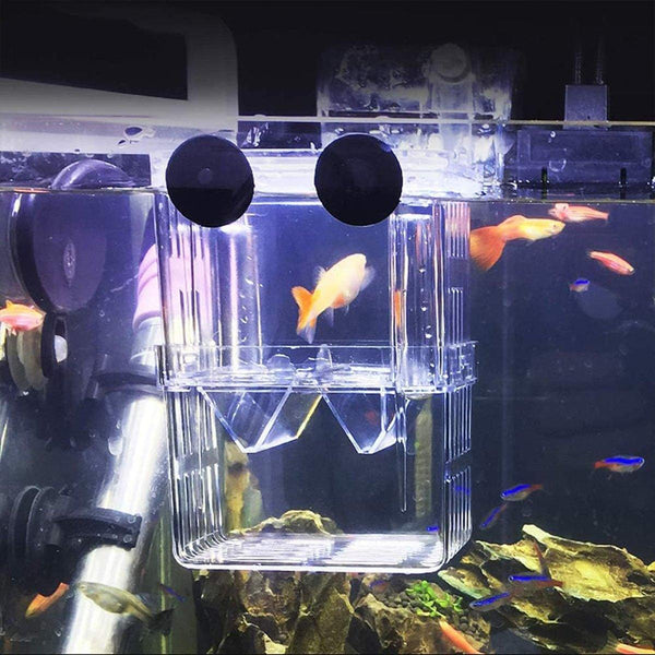 Guppy Breeding Aquarium Fish Tank Hatchery Isolation Breeder Rearing Box L 13*10*7Cm Aquariums