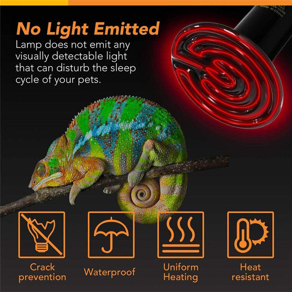 2X Ceramic Infrared Heat Lamp Bulbs For And Terrariums 25W 2Pcs Reptiles