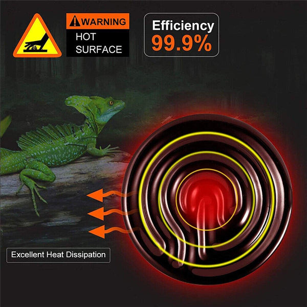 2X Ceramic Infrared Heat Lamp Bulbs For And Terrariums 25W 2Pcs Reptiles