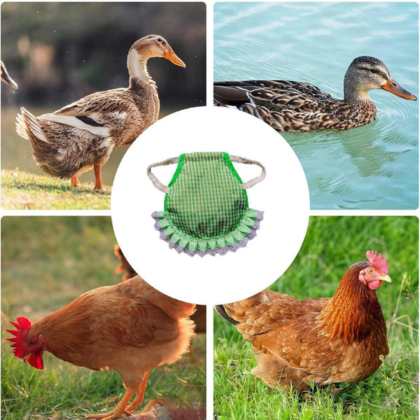 5Pcs Pet Feather Protector Hen Apron Poultry Protection For Chickens Birds Small Animal Supplies