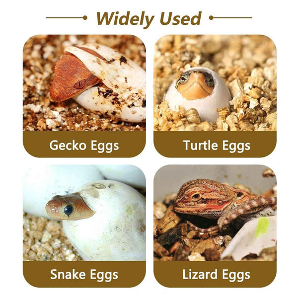 Reptile Pet Egg Incubator For Hatching High Quality Home Use Care Reptiles