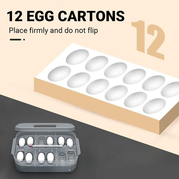 Reptile Pet Egg Incubator For Hatching High Quality Home Use Care Reptiles