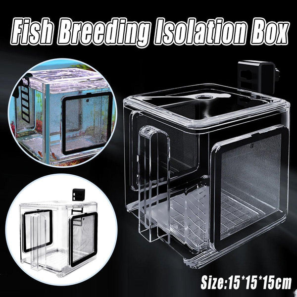 Acrylic Fish Isolation For Aquarium Guppy Fry Tropical Breeding Growth Box Aquariums