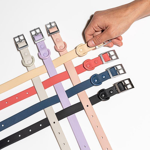 Pvc Dog Collar Working Kennels Waterproof Soft Adjustable For Pets L Size Dog Collars