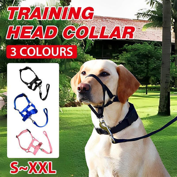 Black Dog Training Head Collar Halter Stop Pulling Tool Harness Strap Leader Dog Collars