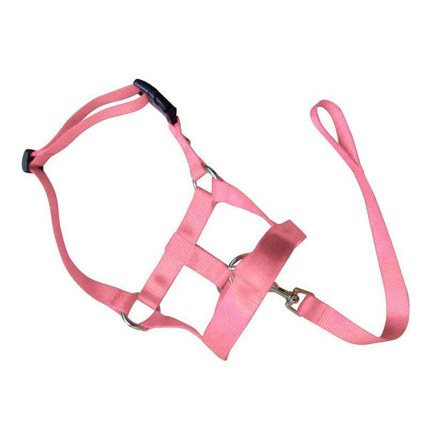 Pink Dog Training Head Collar Halter Stop Pulling Tool Harness Strap Leader Dog Collars